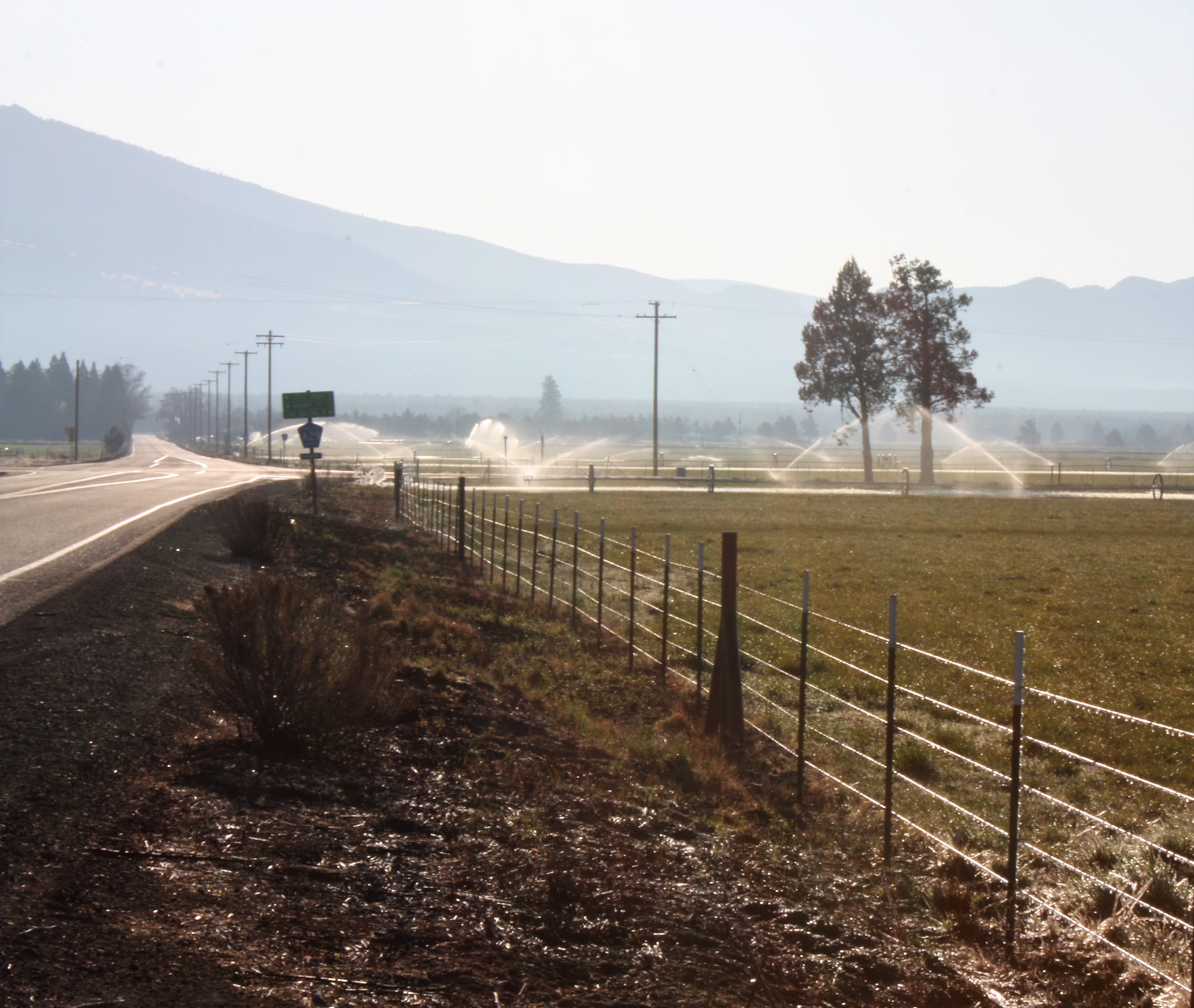 Crossroads of Patience: Waiting on God’s Timing