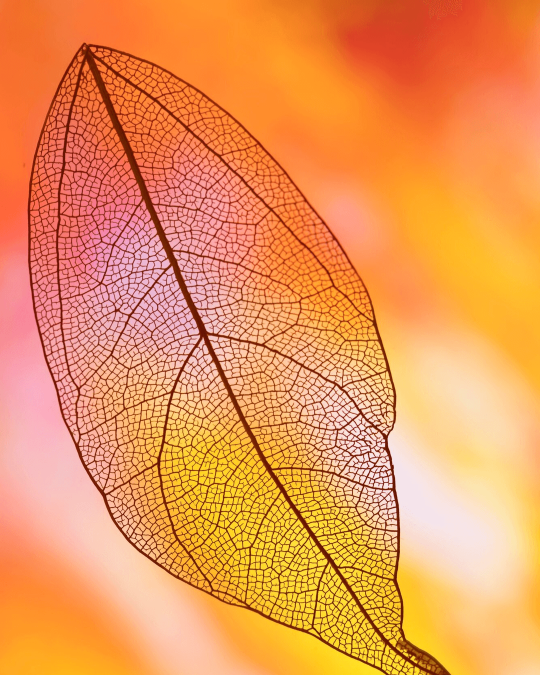 Instagram Square Post Autumn Reflections