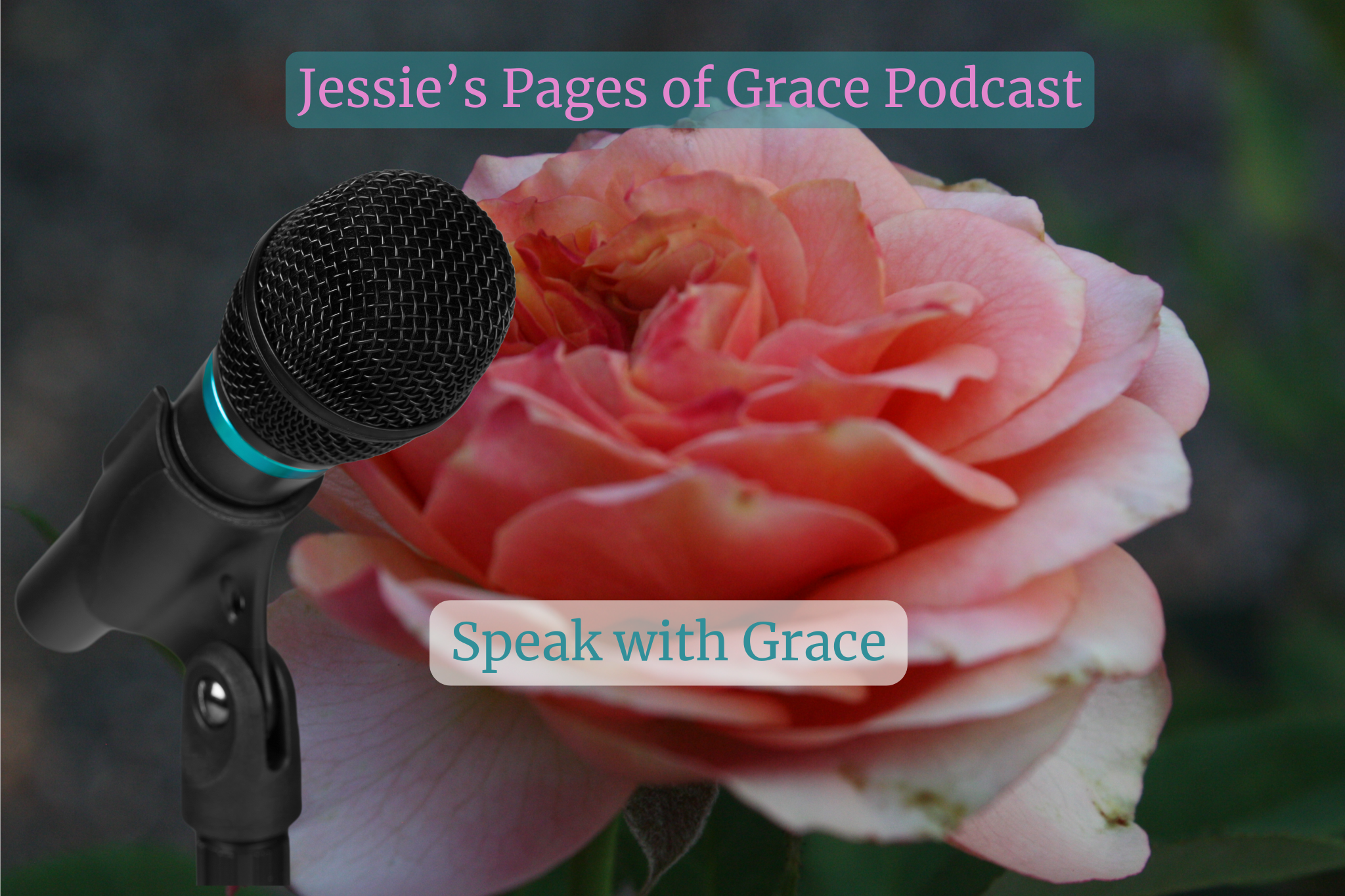 Speak With Grace Podcast